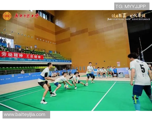 成都排球队荣登全国排球比赛经验排行榜第一名引发热议