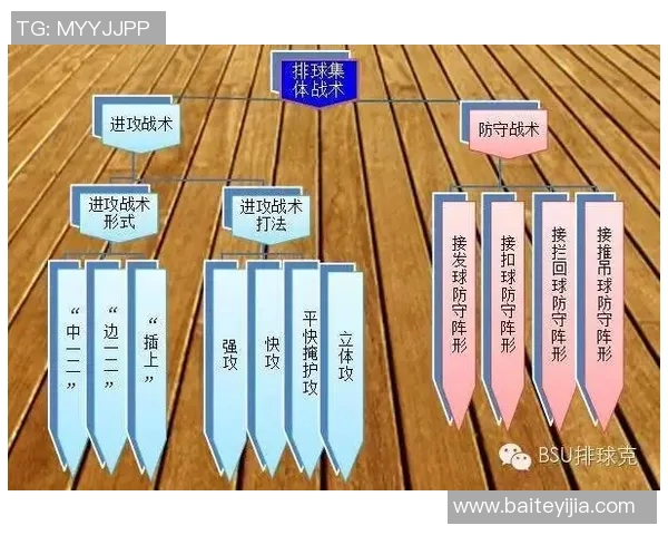 杭州排球队在邀请赛中的战术表现分析与点评探讨 杭州排球队在邀请赛中的战术表现分析与点评探讨